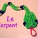 Quel serpent Peut-on adopter ?