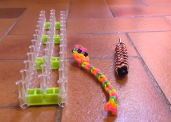 Quel serpent à la maison ?