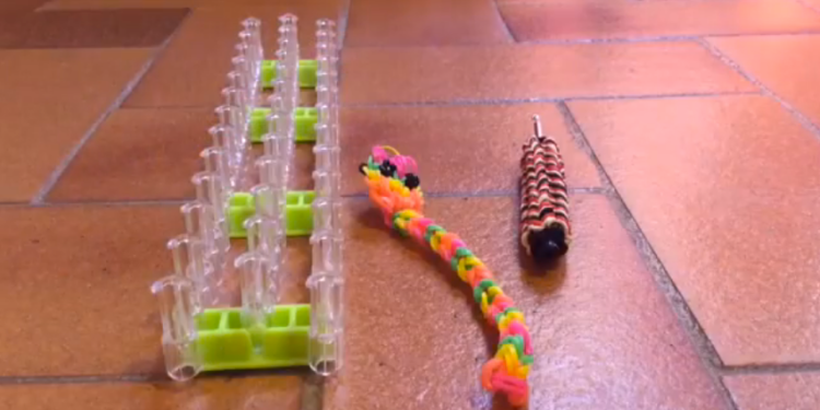 Quel serpent à la maison ?