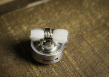 Quel serpent pour enfants ?