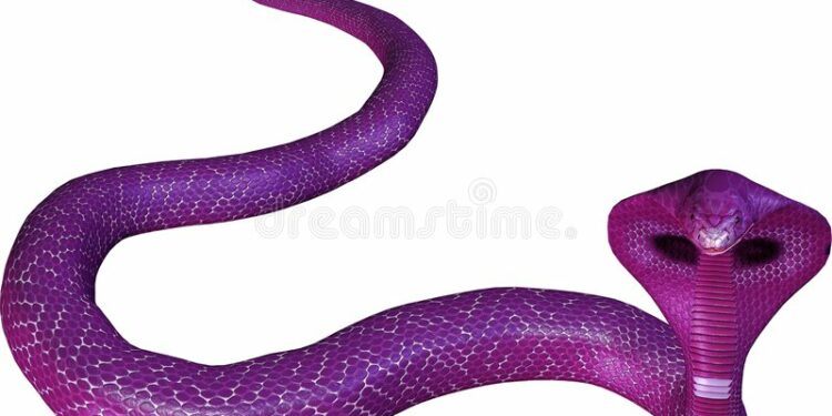 Quel serpent pour enfants ?