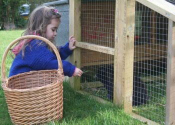 Quel sol pour cage lapin ?