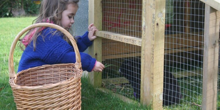 Quel sol pour cage lapin ?