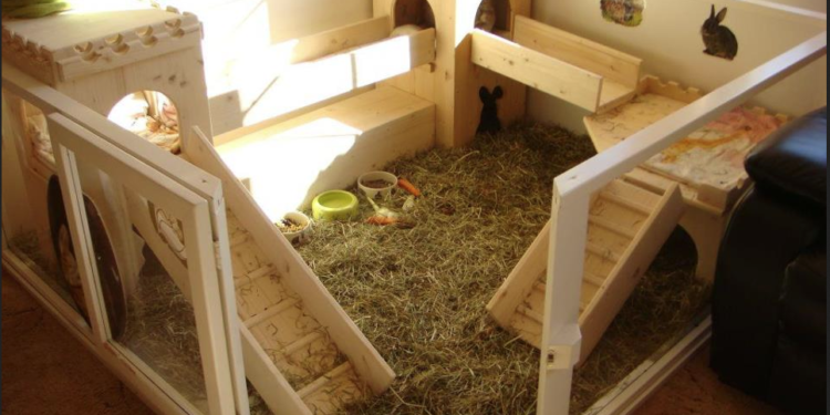 Quel sol pour le lapin ?