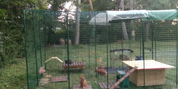 Quel sol pour le lapin ?