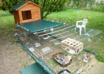 Quel sol pour le lapin ?