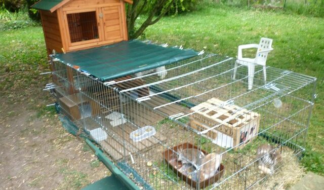 Quel sol pour le lapin ?