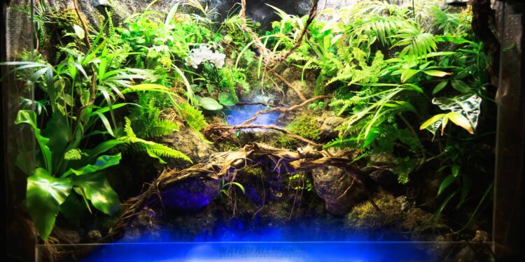 Quel sol pour paludarium ?