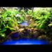Quel sol pour paludarium ?