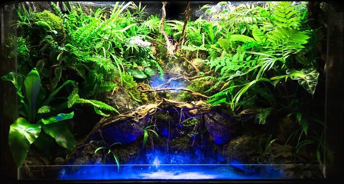 Quel sol pour paludarium ?