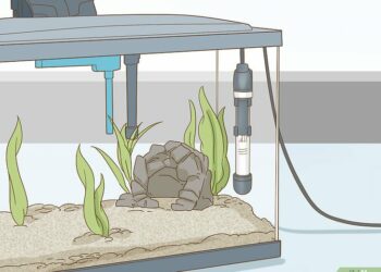 Quel sol pour scalaire ?