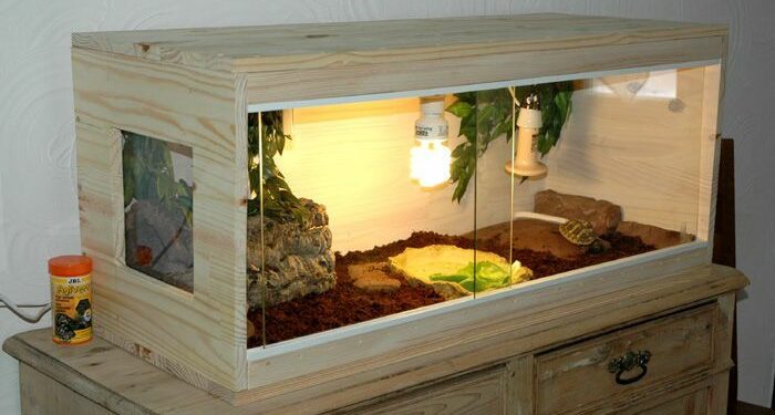 Quel sol pour tortue Hermann ?