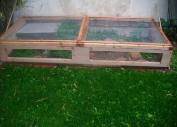 Quel sol pour tortue Hermann ?