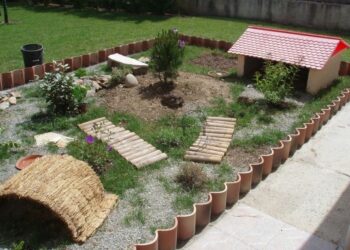 Quel sol pour tortue de terre ?