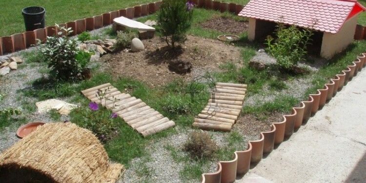 Quel sol pour tortue de terre ?