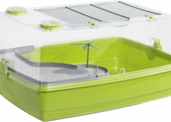 Quel sol pour tortue d'eau ?