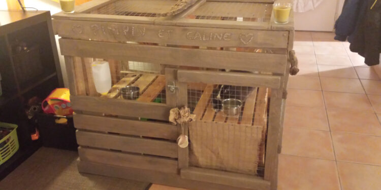 Quel sol pour un lapin ?