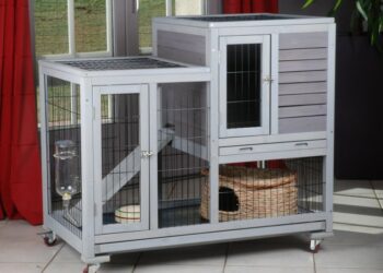 Quel sol pour un lapin ?