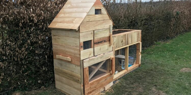 Quel sol pour un lapin ?