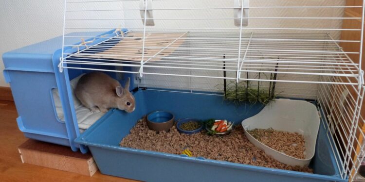 Quel sol pour un lapin ?