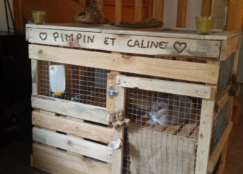 Quel sol pour un lapin ?