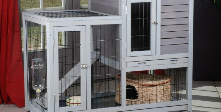 Quel sol pour un lapin ?