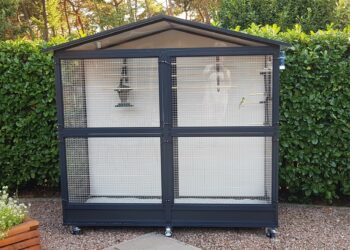 Quel sol pour une volière extérieure ?