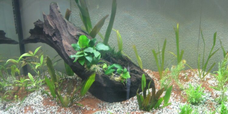 Quel substrat choisir ?