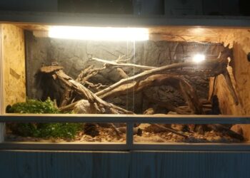 Quel tapis chauffant pour plante ?