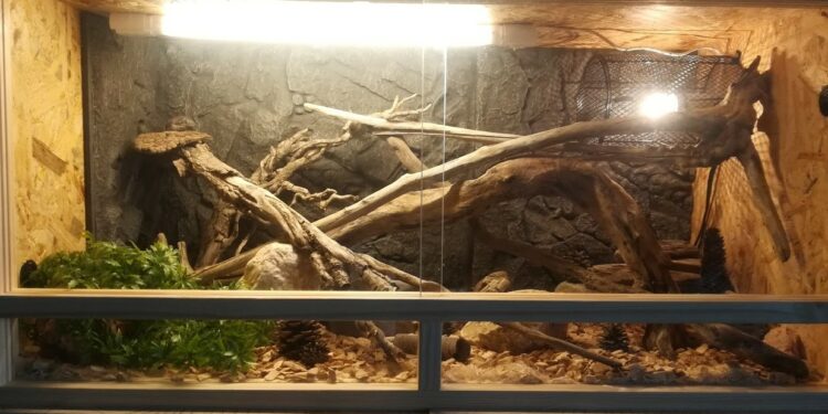 Quel tapis chauffant pour plante ?