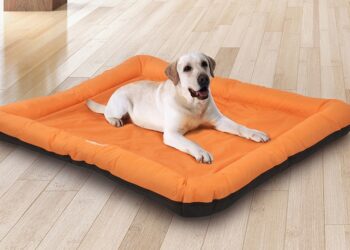 Quel tapis de salon quand on a un chien ?