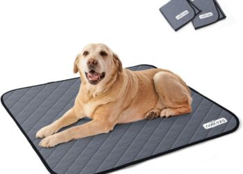 Quel tapis le moins salissant ?