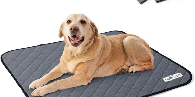 Quel tapis le moins salissant ?