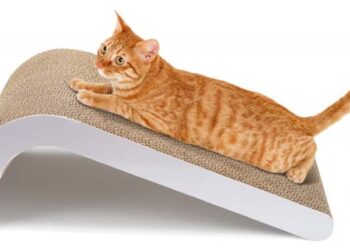 Quel tissu contre les griffes de chat ?