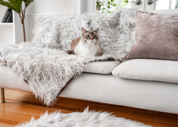 Quel tissu contre les griffes de chat ?