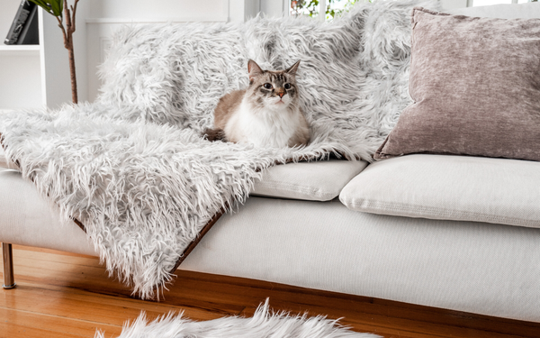 Quel tissu contre les griffes de chat ?