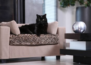 Quel tissu n'accroche pas les poils ?