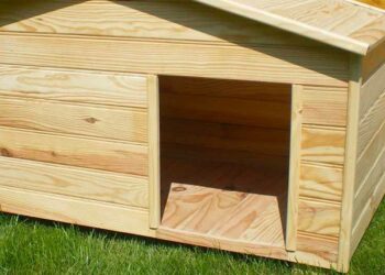 Quel toit pour une niche ?