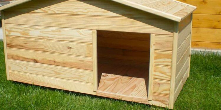 Quel toit pour une niche ?