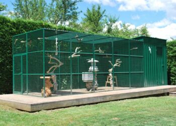 Quel toit pour une volière ?