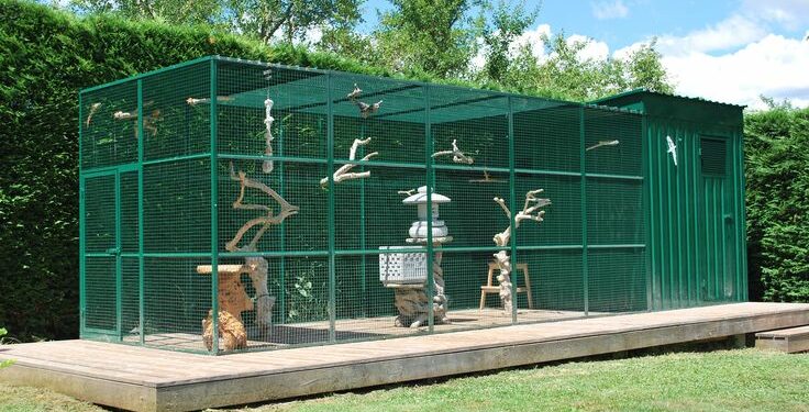 Quel toit pour une volière ?