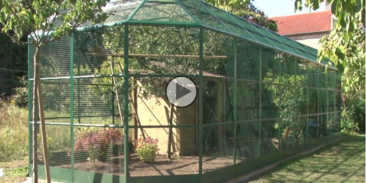 Quel toit pour une volière ?