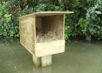 Quel type d'abri pour les canards ?