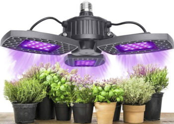 Quel type de LED pour culture indoor ?