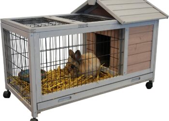 Quel type de cage pour un lapin nain ?
