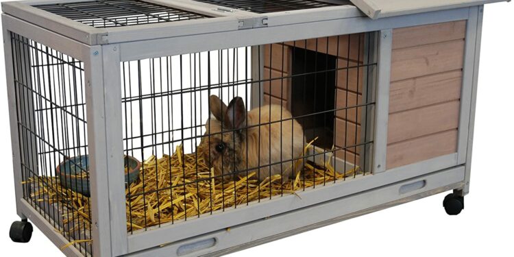 Quel type de cage pour un lapin nain ?