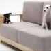 Quel type de canapé avec un chien ?