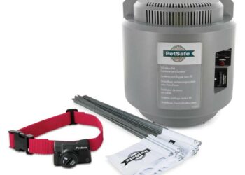 Quel type de collier Anti-fugue choisir ?