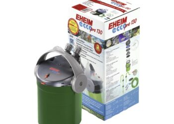 Quel type de filtre pour aquarium ?