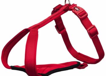 Quel type de harnais pour chiot ?